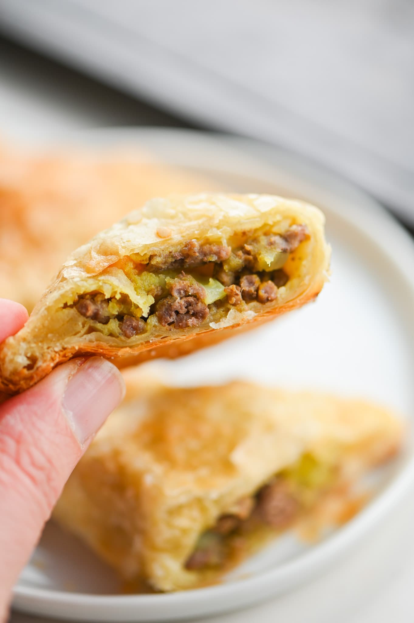 Beef Samosa